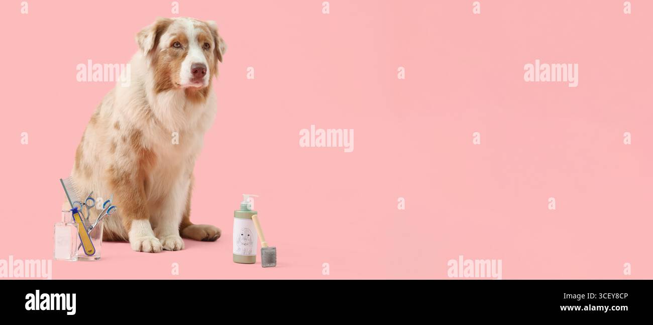 Niedliche Hunde- und Pflegezubehör auf rosa Hintergrund mit Platz für Text Stockfoto