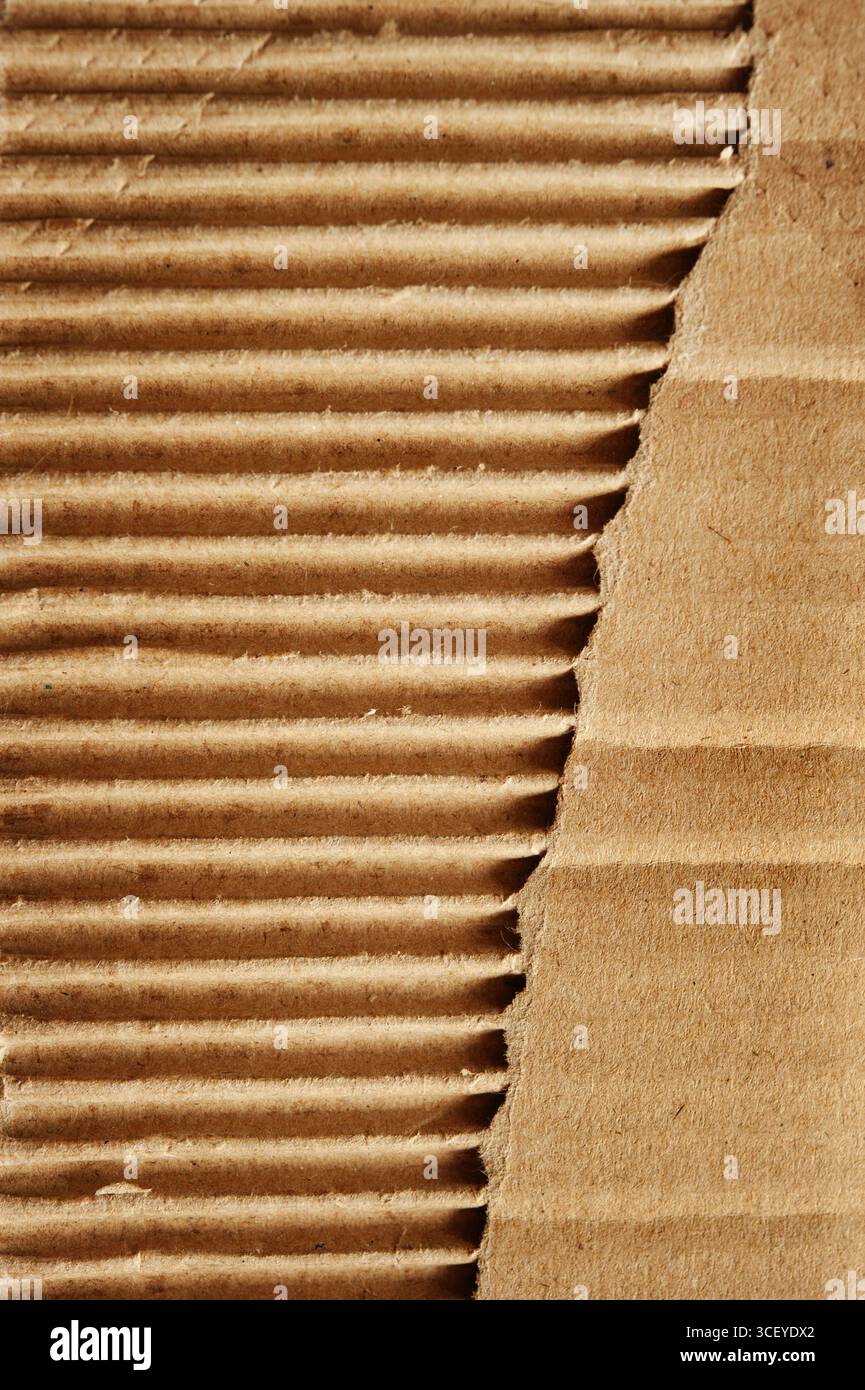 Nahaufnahme von abgerissener Wellpappe mit strukturierten Rippen und Papierschichten Stockfoto