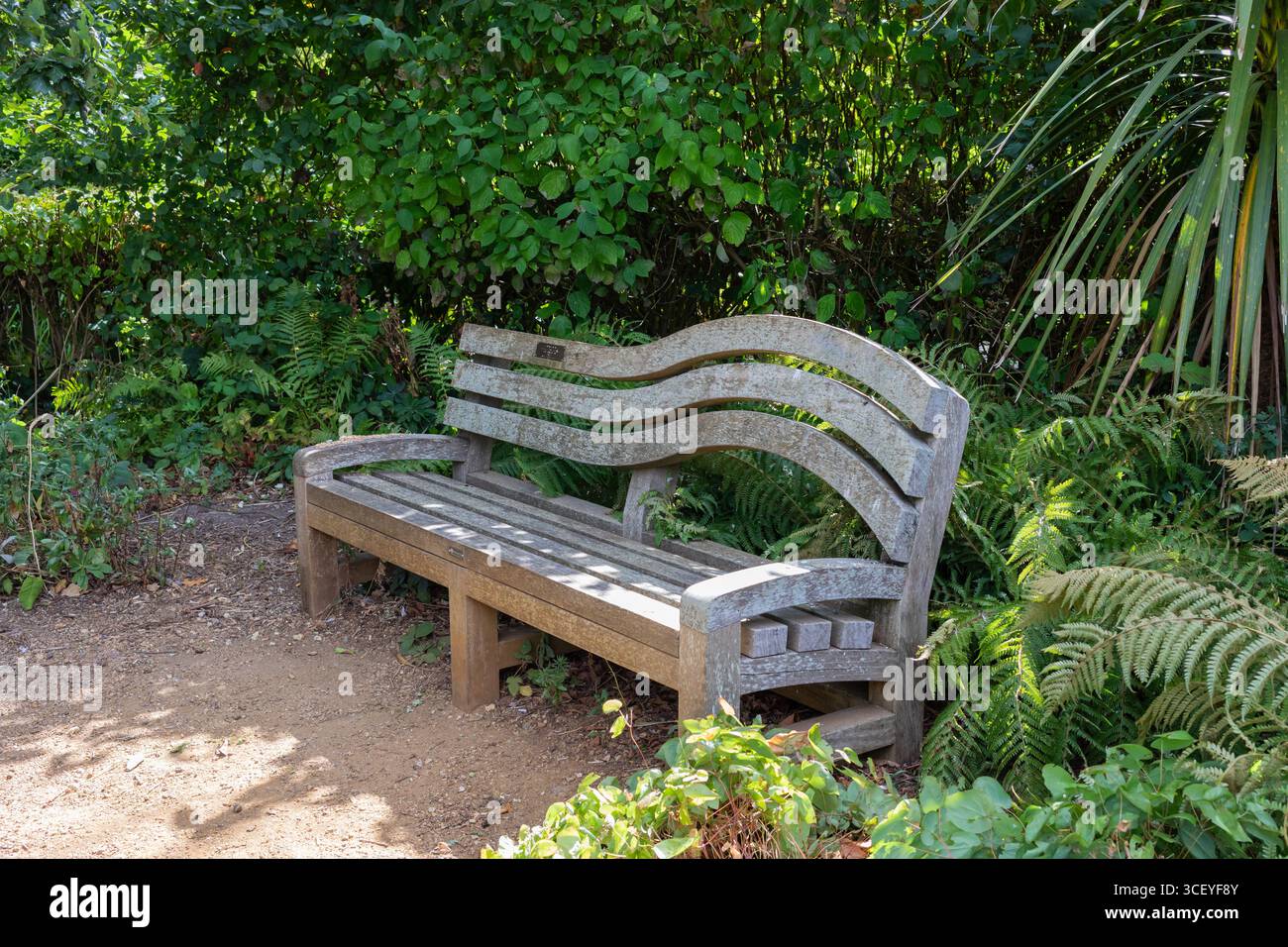 Eine hölzerne Sitzbank im ruhigen Garten im Poole Park. Dorset, England, Großbritannien Stockfoto