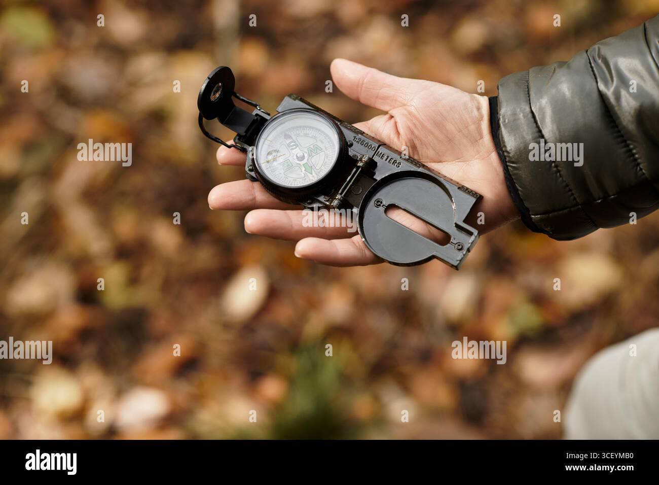 Eine Seniorin genießt eine friedliche Wanderung im Wald und überprüft ihren Kompass zwischen lebendigem Laub. Stockfoto