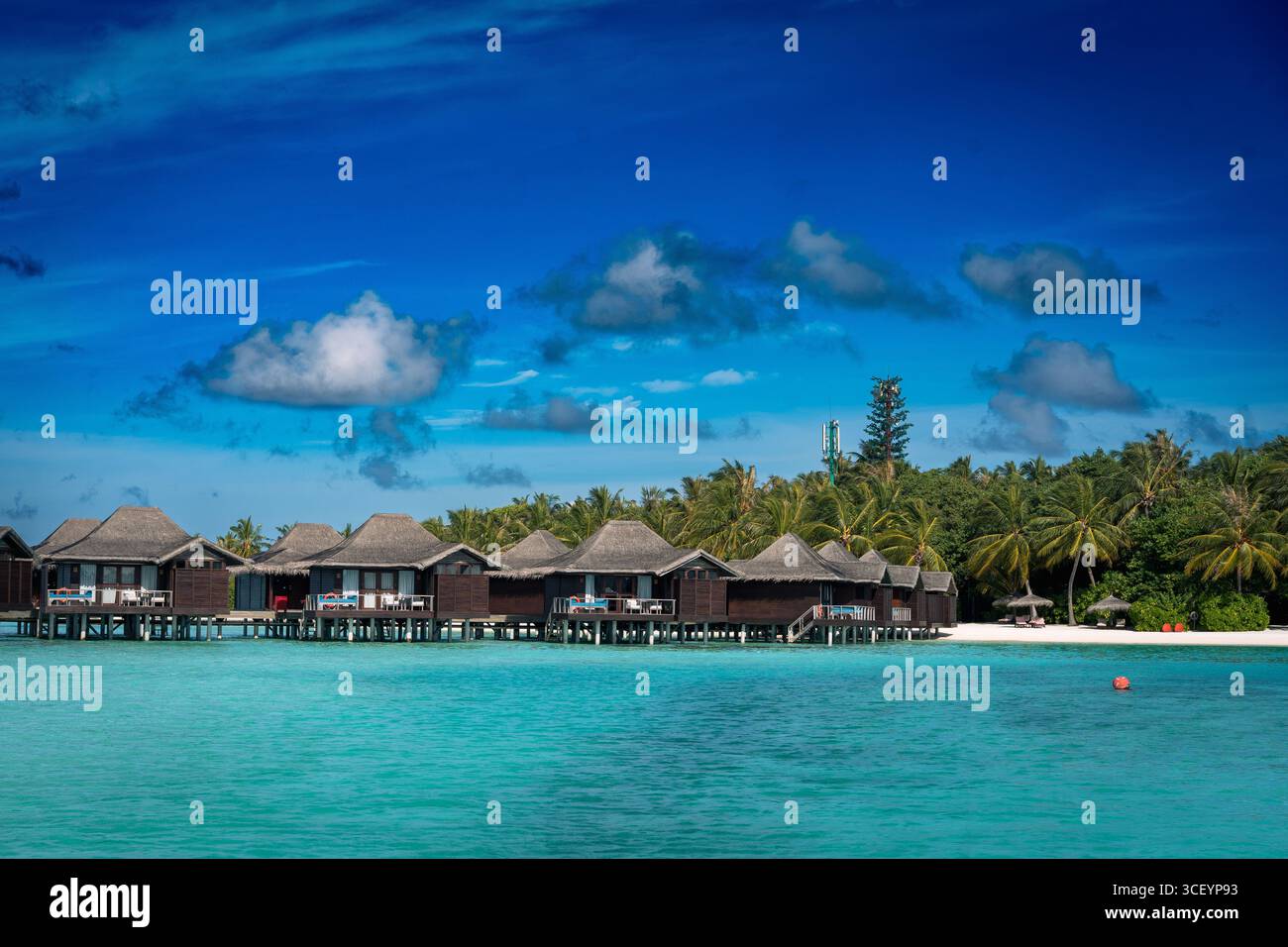 Wunderschöner tropischer Sonnenuntergang mit Palmensilhouette und luxuriösen Wasservillen über dem türkisfarbenen Meer auf den Malediven. Exotisches Urlaubs- und Reisekonzept. Stockfoto