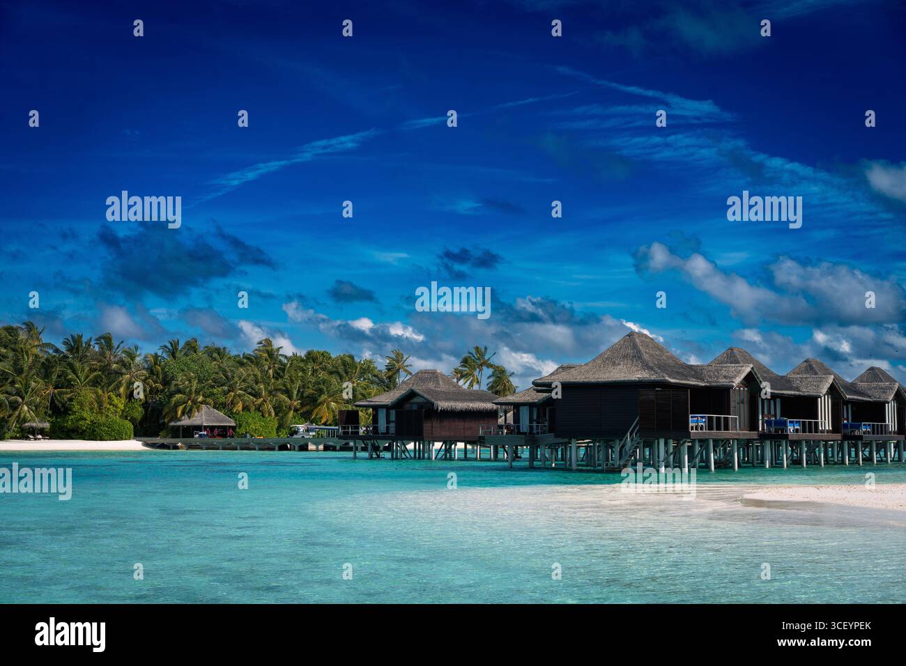Wunderschöner tropischer Sonnenuntergang mit Palmensilhouette und luxuriösen Wasservillen über dem türkisfarbenen Meer auf den Malediven. Exotisches Urlaubs- und Reisekonzept. Stockfoto