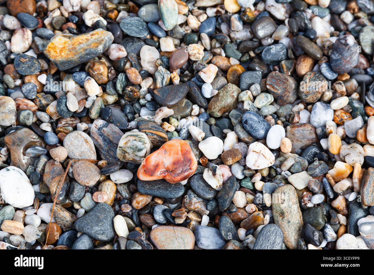Hintergrund von Meeressteinen. Steine in verschiedenen Formen, Größen und Farben an der Küste, Nahaufnahme. Stockfoto