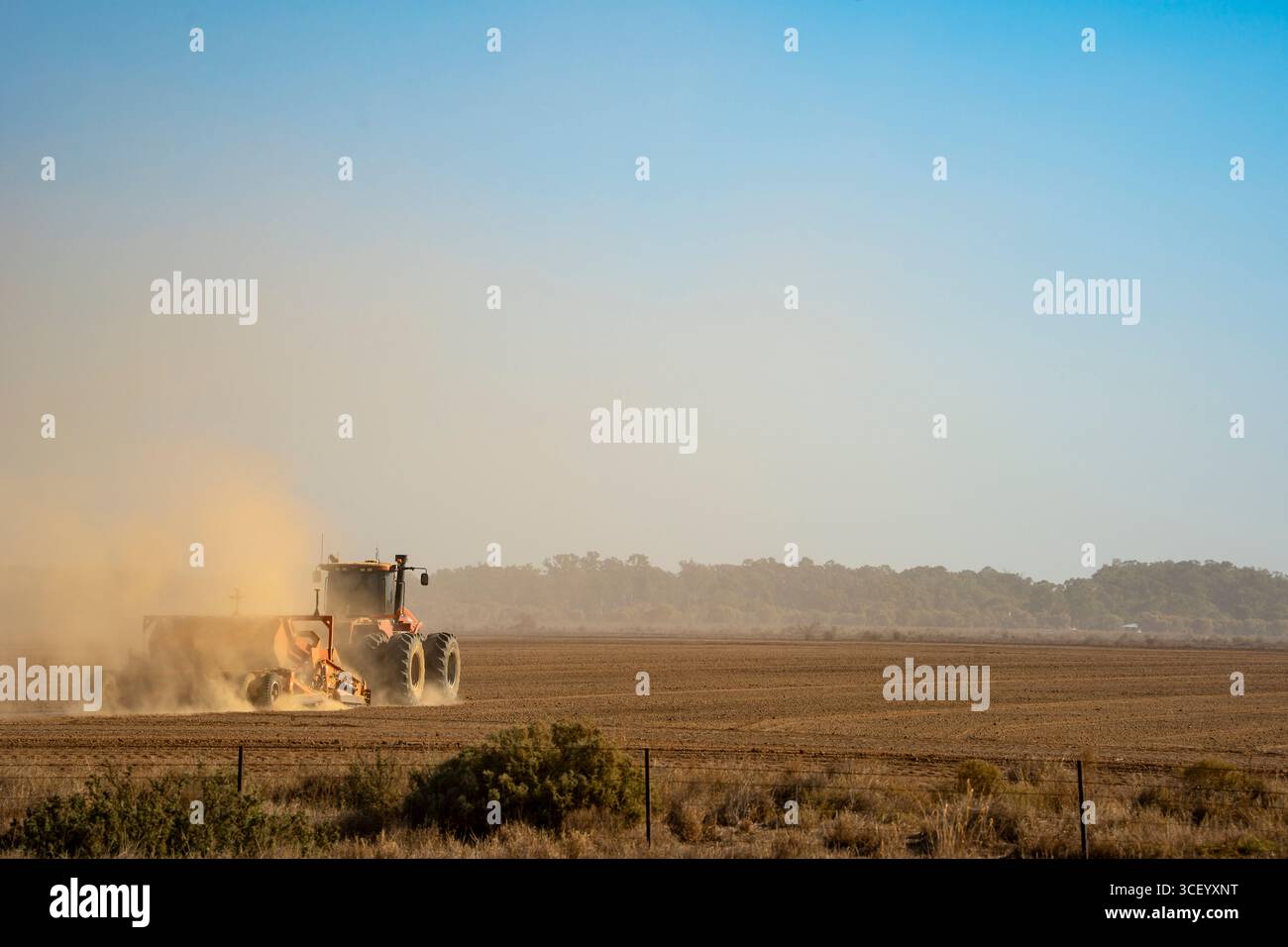 Staubwolken steigen hinter einem großen 8-Rad-Traktor in die Luft auf, der Weizenernte in den Ebenen bei Leeton and Griffith, NSW, Aust. Stockfoto