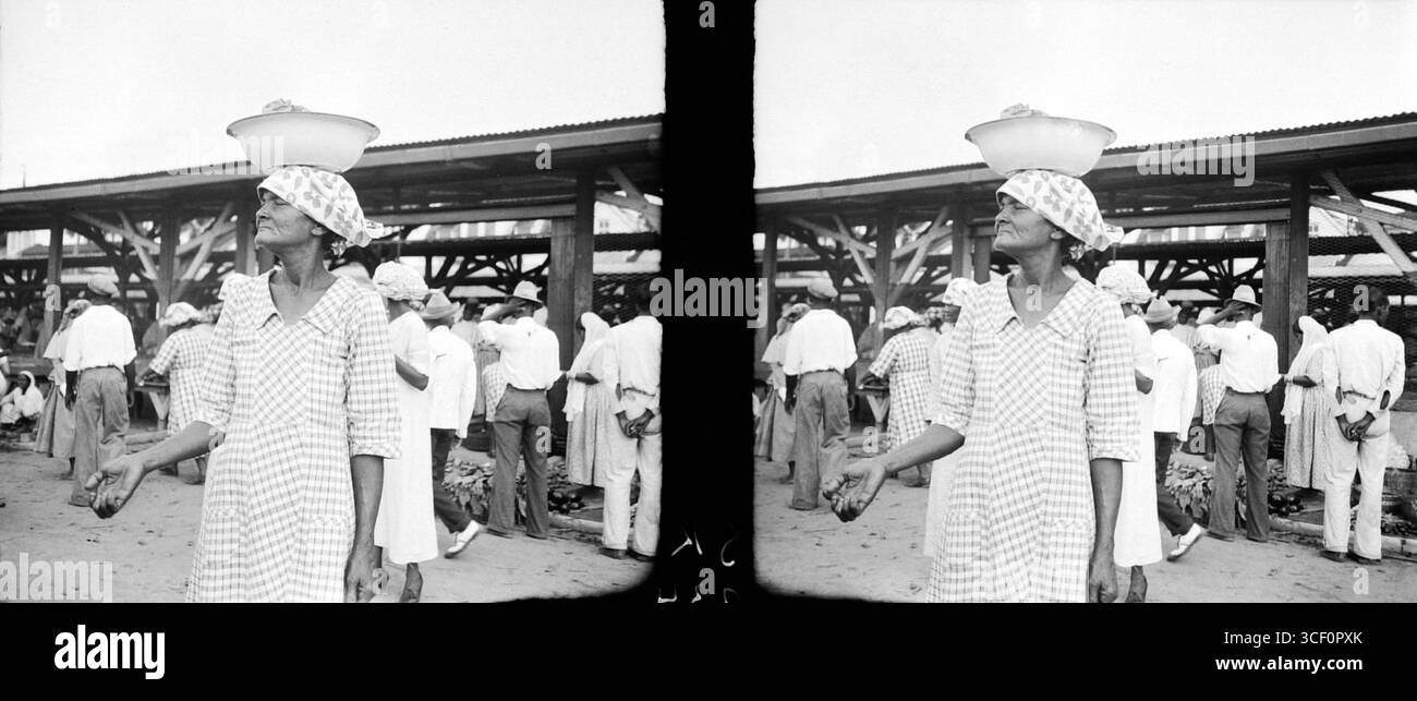 Ein Stereonegativ aus dem Jahr 1940 zeigt eine surinamische Kreolie auf einem Markt in Paramaribo. Das Glasnegativ misst 6 x 13 cm. Stockfoto