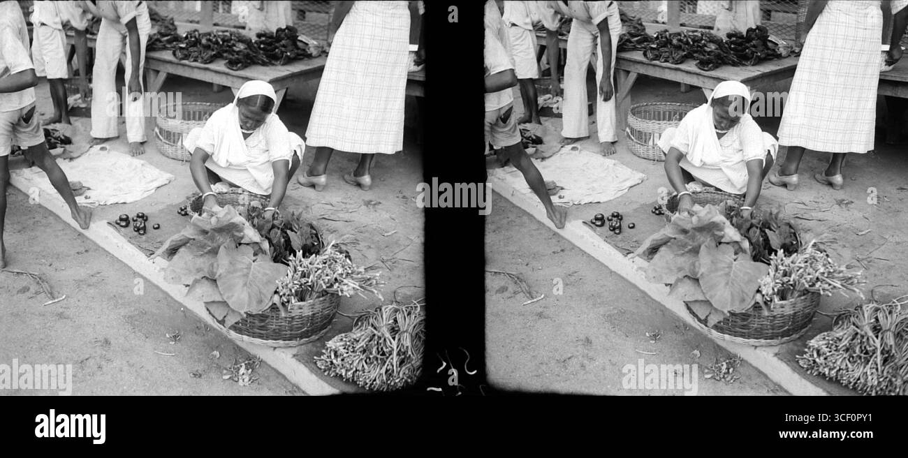 Ein Stereonegativum aus dem Jahr 1940, das eine Frau britisch-indischer Herkunft zeigt, die Gemüse verkauft. Das Glasnegativ misst 5,7 x 12,8 cm. Stockfoto