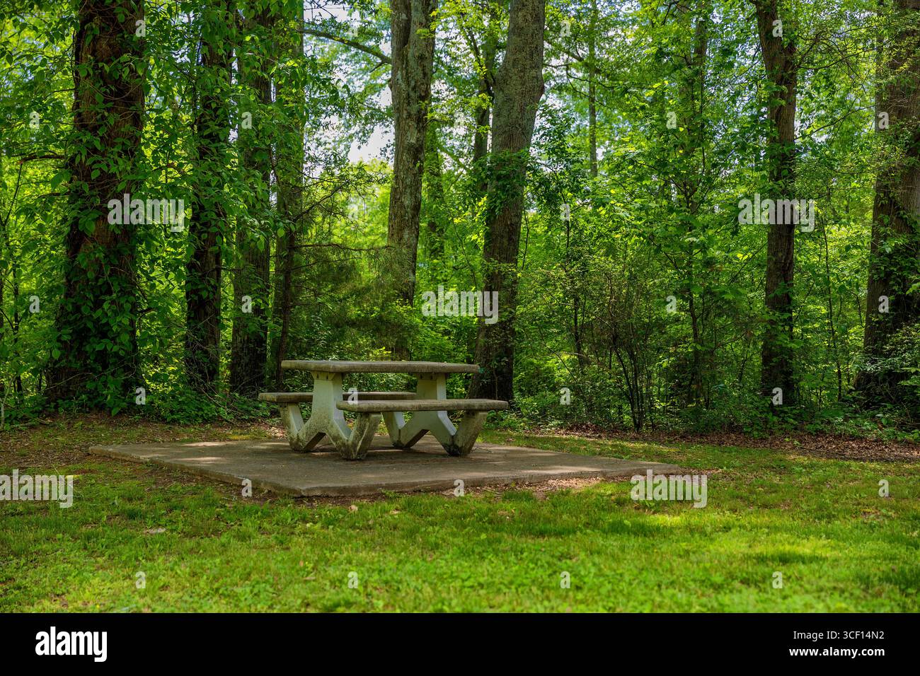 Ein Picknicktisch steht in einem schattigen Bereich im Nancy Ward State Park, wo Nanyehi ein berühmtes historisches Cherokee-Frauengrab ist. Stockfoto