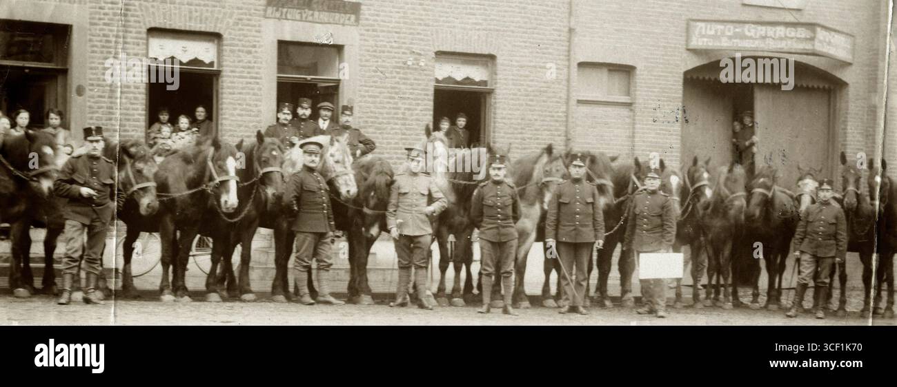 1. Weltkrieg: Tiere im Krieg. Niederländische Soldaten an der Grenze mit konfiszierten Pferden, Niederlande, 1915. Stockfoto