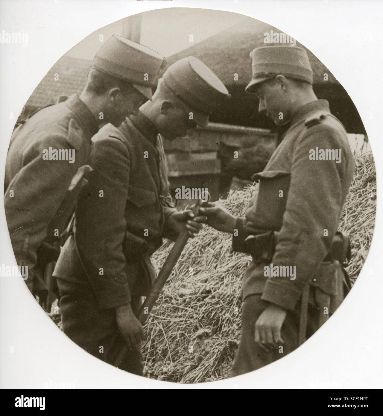 1918, während des Ersten Weltkriegs, suchten niederländische Soldaten nach versteckten Nahrungsmitteln in Nordholland. Die Soldaten verwenden geschärfte Rohre, um Heuhaufen oder Dungshaufen zu untersuchen und nach verdächtigen Gegenständen zu suchen. Stockfoto