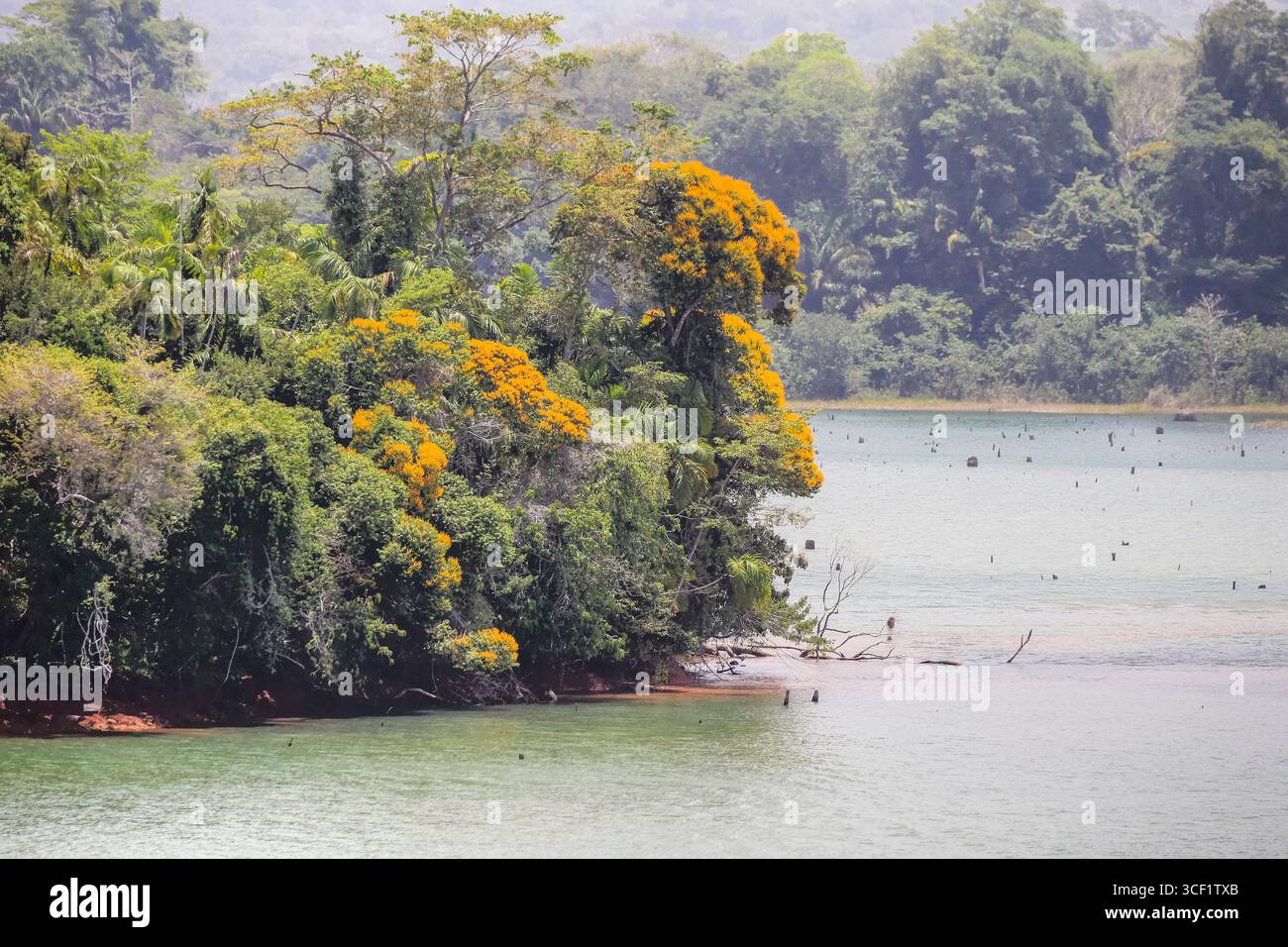 Malerische Ausblicke auf tropische Inseln und üppige Vegetation, die über den Gatun Lake, einem wichtigen Abschnitt des Panamakanals, verteilt sind. Stockfoto
