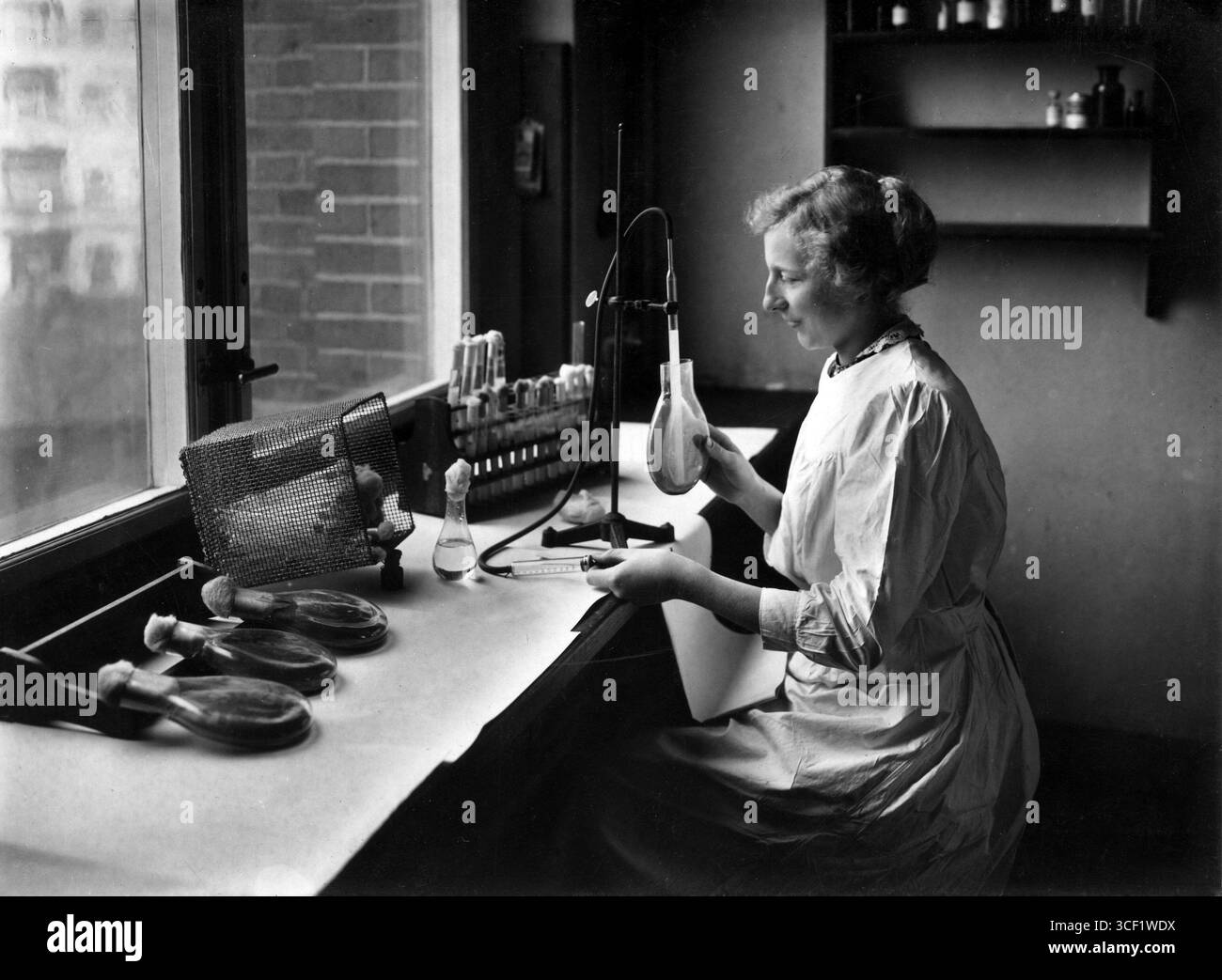 Die Herstellung eines Typhus-Impfstoffes in Deutschland, 1915, als Teil einer nationalen Bekämpfung der Krankheit während des Ersten Weltkriegs Stockfoto