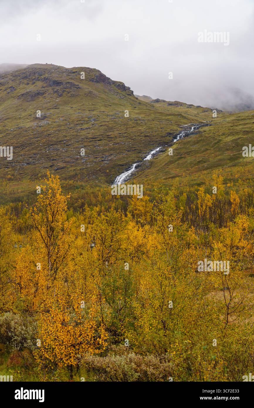 Berg Vassitjåkka in der Herbstsaison mit schönen Herbstfarben, Schwedisch Lappland, Schweden Stockfoto