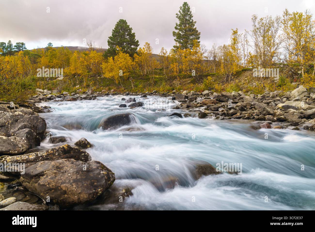 Kårsajokka im Abisko-Nationalpark in der Herbstsaison mit Herbstfarben, Abisko, Schwedisch Lappland, Schweden Stockfoto