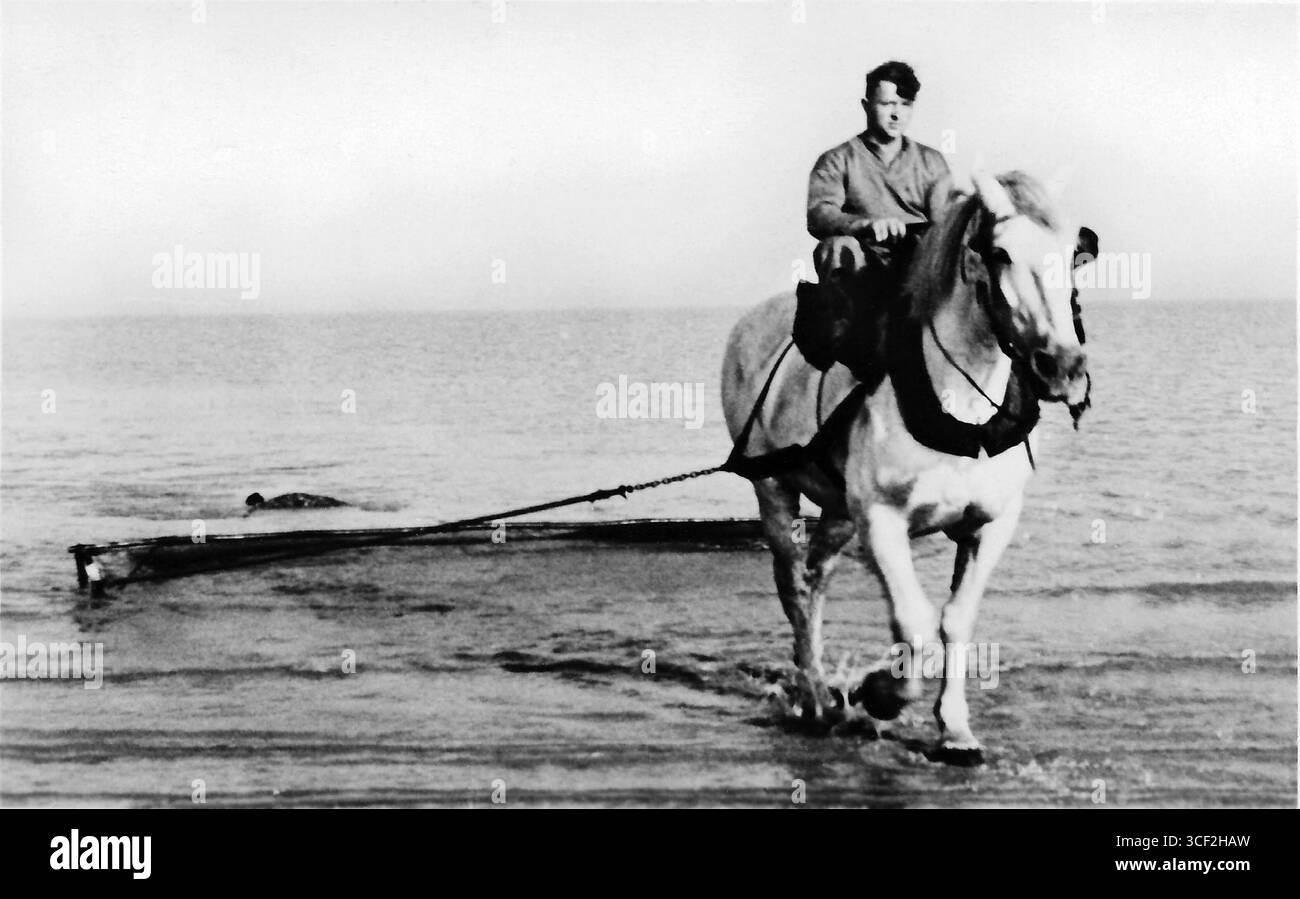 Eine Postkarte, die einen Garnelenfischer auf dem Pferd in de Panne vor dem Zweiten Weltkrieg zeigt. Das Foto zeigt die Verwendung von Fangpferden in traditionellen Fischmethoden, ohne moderne touristische Attraktionen. Stockfoto