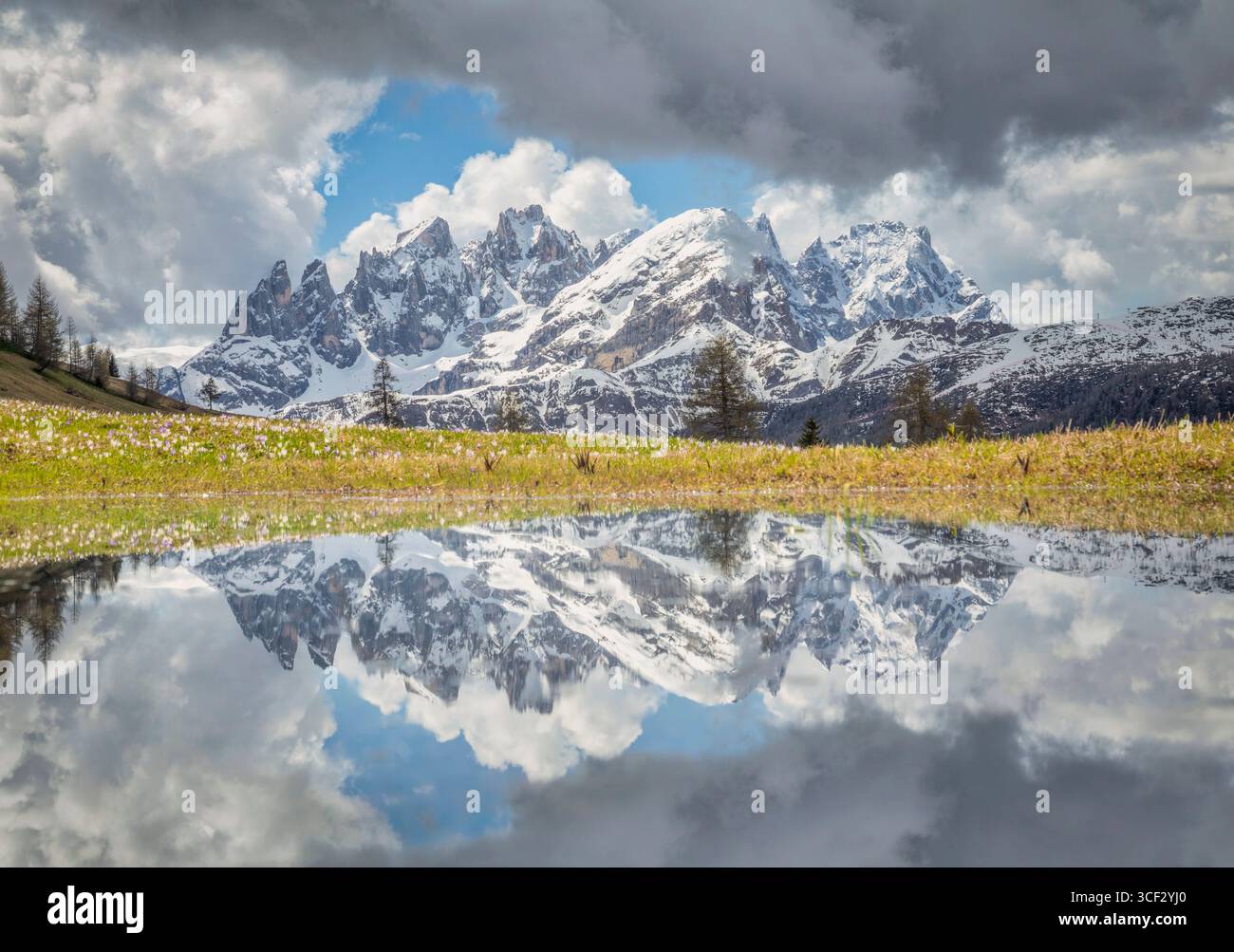 Die Pale di San Martino spiegelt sich in einer Frühlingspfütze auf den Almwiesen von Fuciade, unter einem dramatischen Himmel in den Dolomiten, an der Grenze zwischen Veneto und Trentino (Provinzen Belluno und Trient), Italien Stockfoto