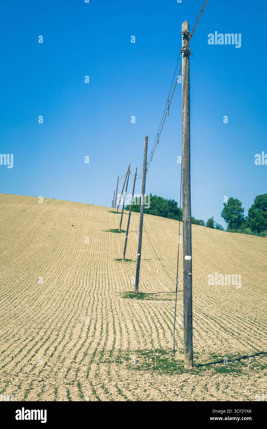Telekommunikationsmasten erstrecken sich über ein trockenes Tonfeld unter Frühlingshitze in Fossombrone, Region Marken, Italien Stockfoto
