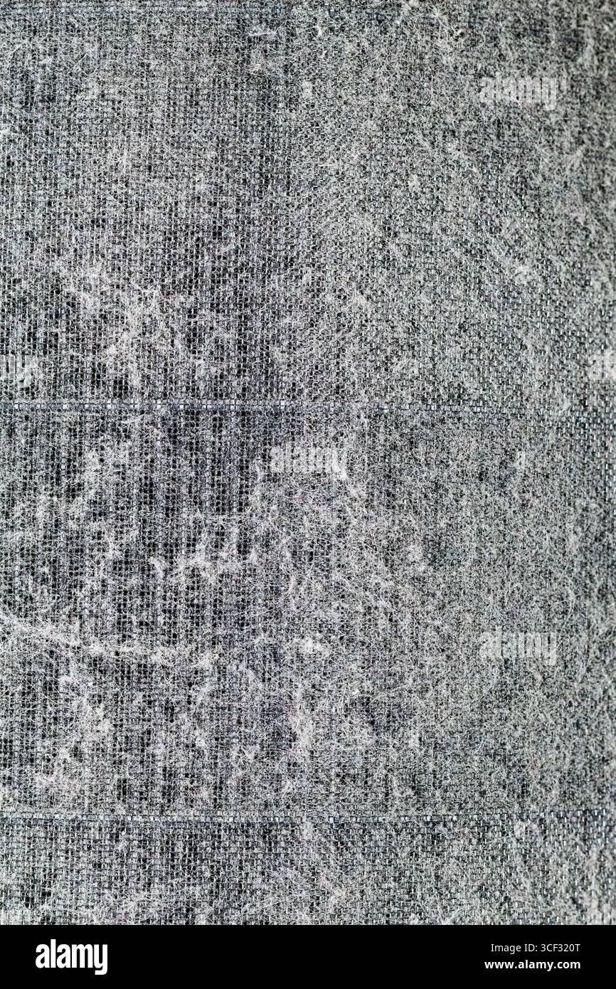 Makrobild eines verschmutzten Luftfilters, der mit Staub, Fusseln und Tierhaaren verstopft ist. Die strukturierte Oberfläche zeigt starke Ansammlungen, die für schlechte Innenräume A stehen Stockfoto