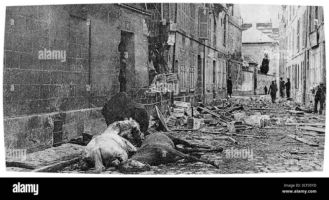 Während der deutschen Offensive im August 1914 entfernt ein Einwohner von Soissons das Gurtzeug eines sterbenden Pferdes. Das Bild spiegelt die verheerenden Auswirkungen des Krieges auf Mensch und Tier wider, wobei Pferde ein entscheidender Teil des Militärs sind. Stockfoto