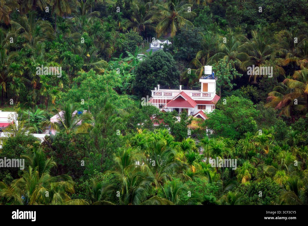 Aus der Vogelperspektive auf ein wunderschönes Walddorf in der Nähe der Berge in Kanthalloor, Munnar, Kerala, Indien. Die malerische Landschaft bietet üppiges Grün und Nebel Stockfoto