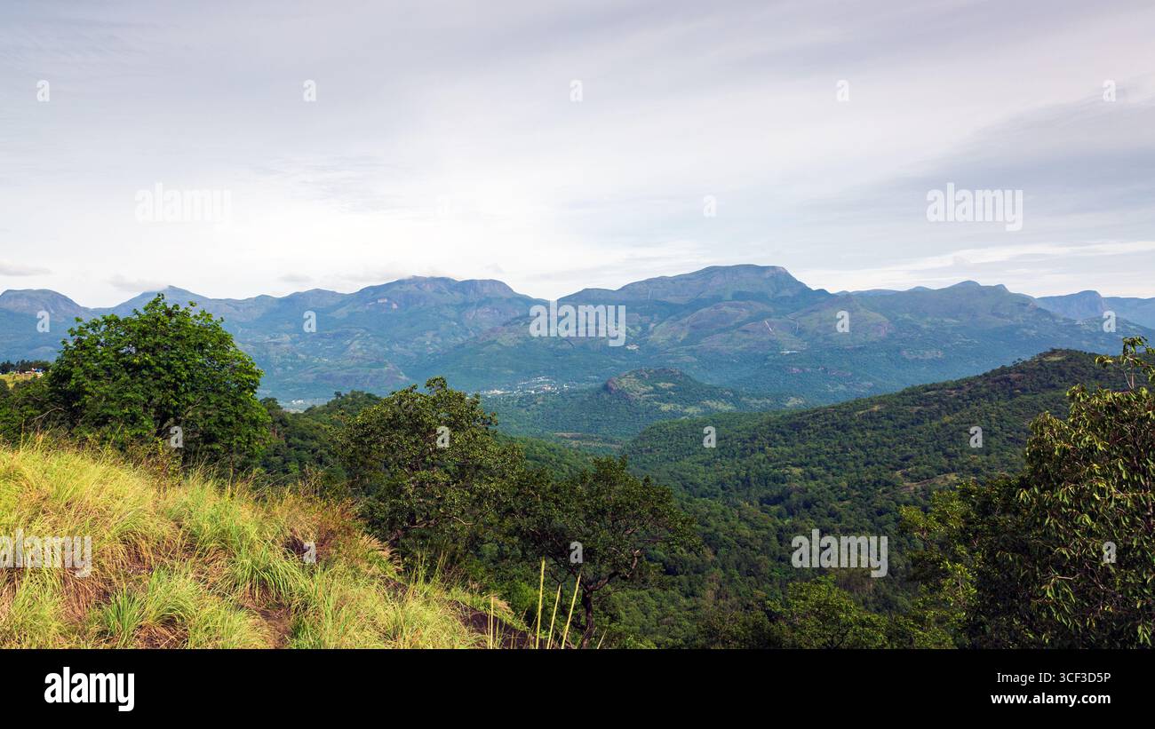 Aus der Vogelperspektive auf ein wunderschönes Walddorf in der Nähe der Berge in Kanthalloor, Munnar, Kerala, Indien. Die malerische Landschaft bietet üppiges Grün und Nebel Stockfoto
