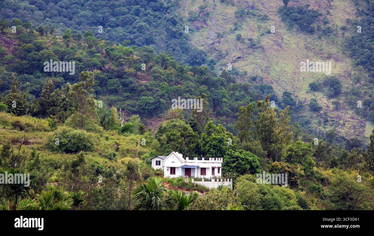 Aus der Vogelperspektive auf ein wunderschönes Walddorf in der Nähe der Berge in Kanthalloor, Munnar, Kerala, Indien. Die malerische Landschaft bietet üppiges Grün und Nebel Stockfoto