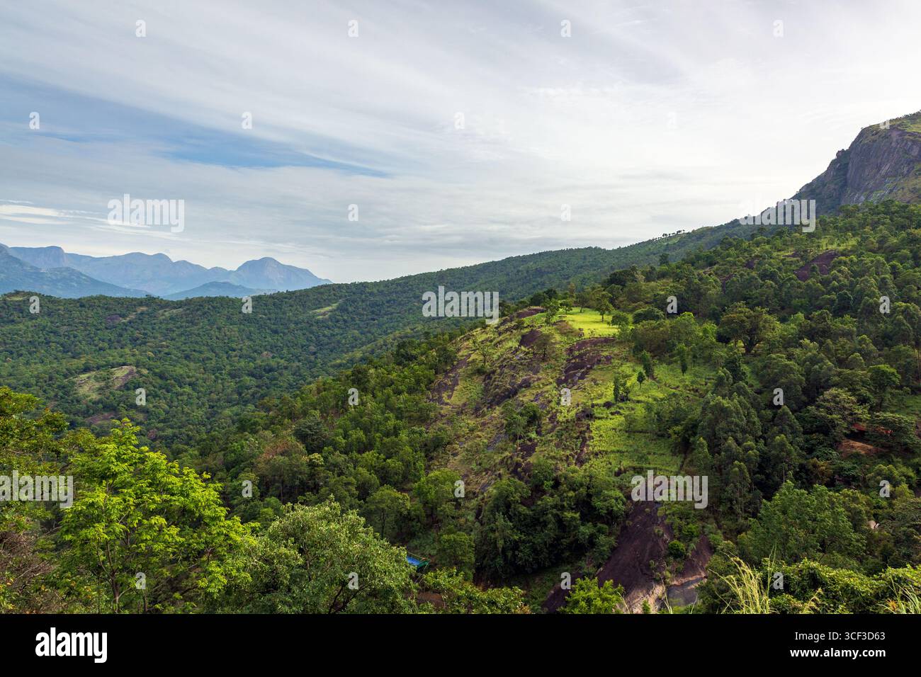 Aus der Vogelperspektive auf ein wunderschönes Walddorf in der Nähe der Berge in Kanthalloor, Munnar, Kerala, Indien. Die malerische Landschaft bietet üppiges Grün und Nebel Stockfoto