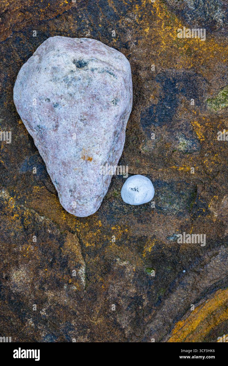 Ovaler Stein und kleiner runder Kieselstein, Nahaufnahme Stockfoto