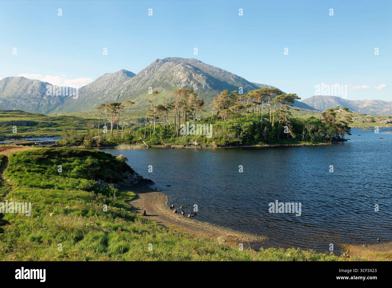 Blick auf Derryclare Lough mit den Twelve Pins, Connacht Province, County Galway, Connemara National Park, Connemara, Irland Stockfoto