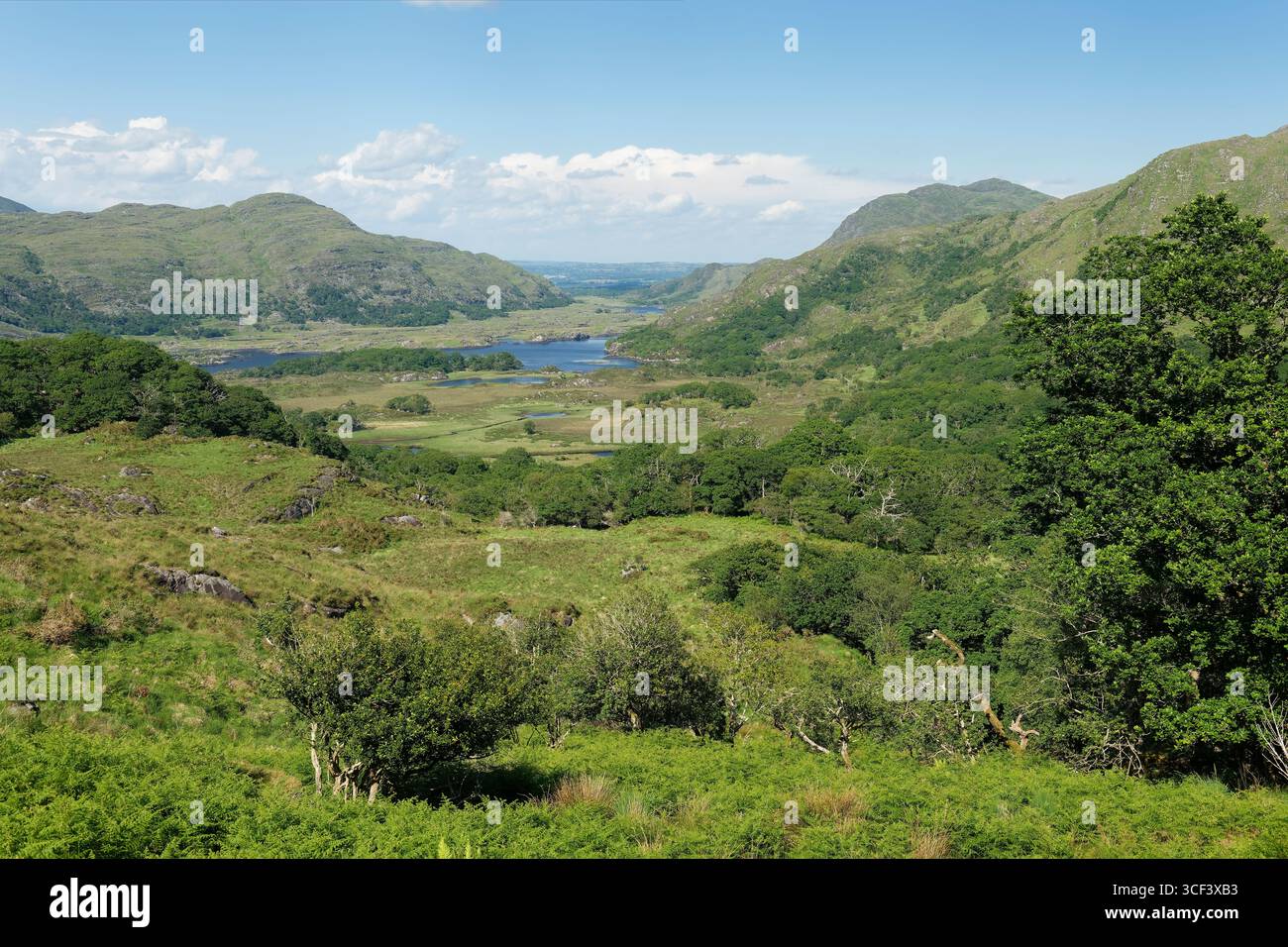 Blick auf den Upper Lake vom Aussichtspunkt Ladie's View im Killarney National Park, Ring of Kerry, Provinz Munster, County Kerry, Irland Stockfoto