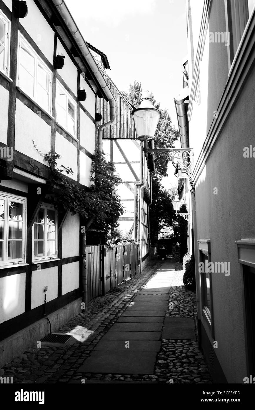 Ein einfarbiges Foto einer dekorativen alten Straßenlaterne zwischen Fachwerkhäusern in einer engen historischen Gasse. Stockfoto