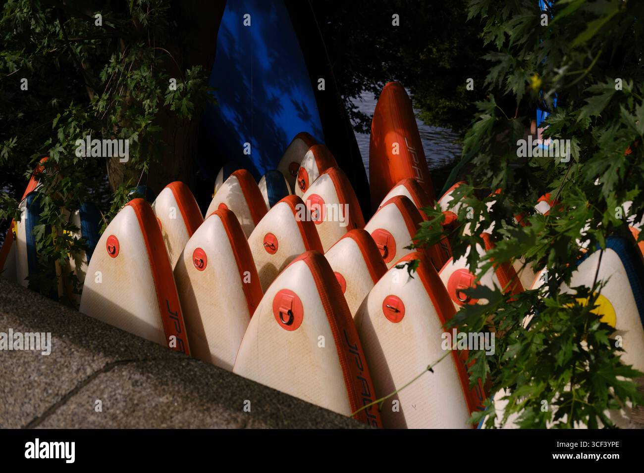 Stand Up Paddling Boards in Hamburg im Seitenkanal der Außenalster. Sie sind senkrecht aufgestellt und in einer Reihe aneinander geneigt, beleuchtet von der Morgensonne Stockfoto