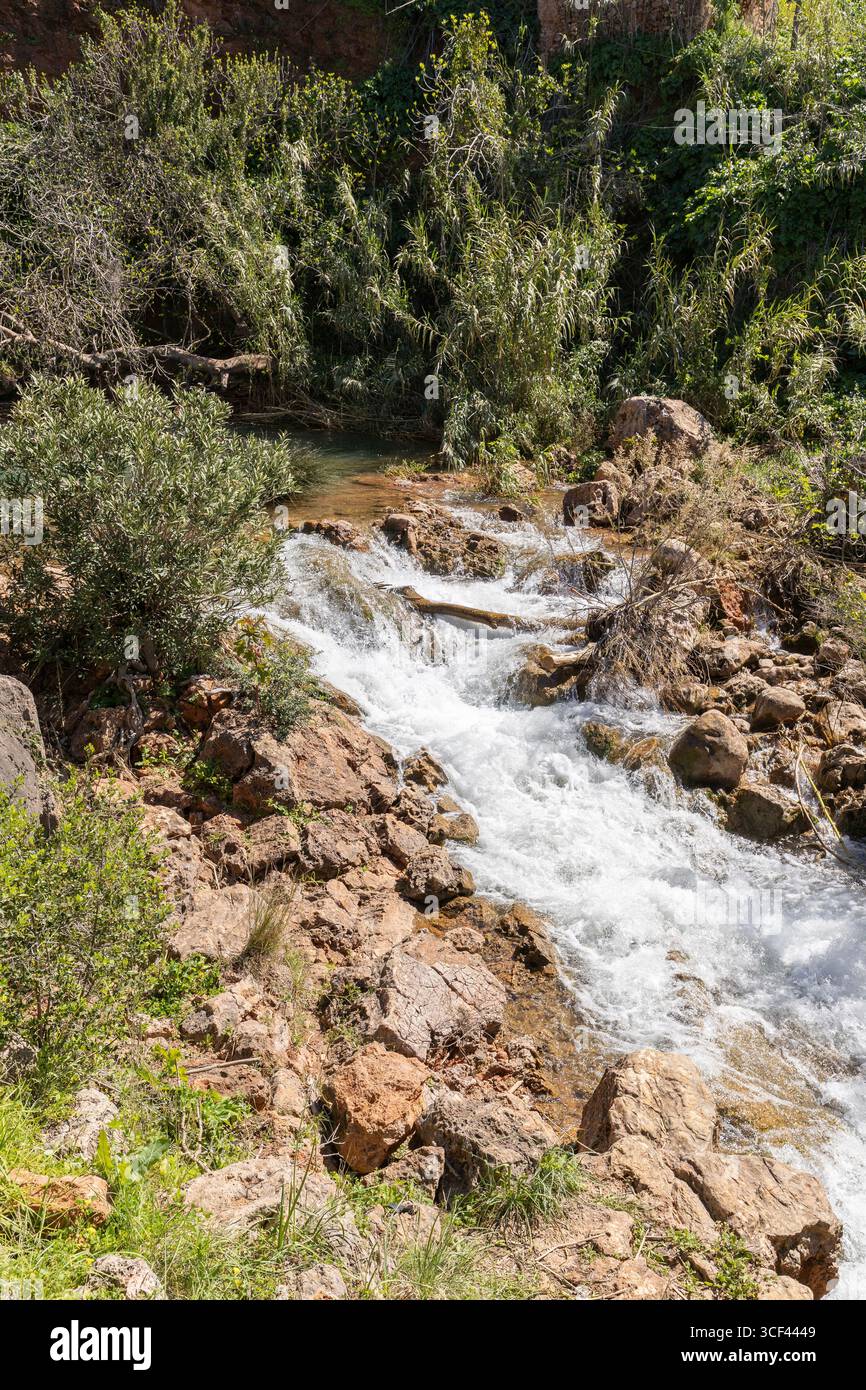 Wasserfall mitten in der Natur, schöner Flusslauf und Wasserfall im Frühling. Der Wasserfall Queda do Vigario bei Alte, Algarve, Portugal Stockfoto