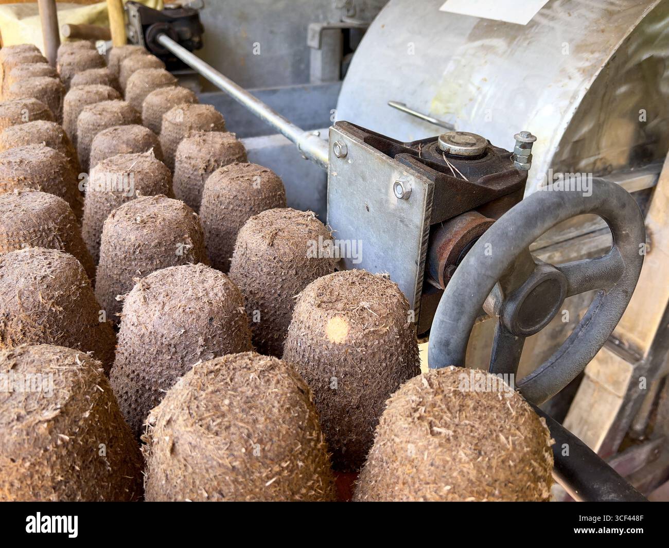 Nahaufnahme biologisch abbaubarer Pflanzentöpfe aus recycelter Biomasse und organischen Fasern während des Herstellungsprozesses. Nachhaltiger alternativer Kraftstoff Stockfoto