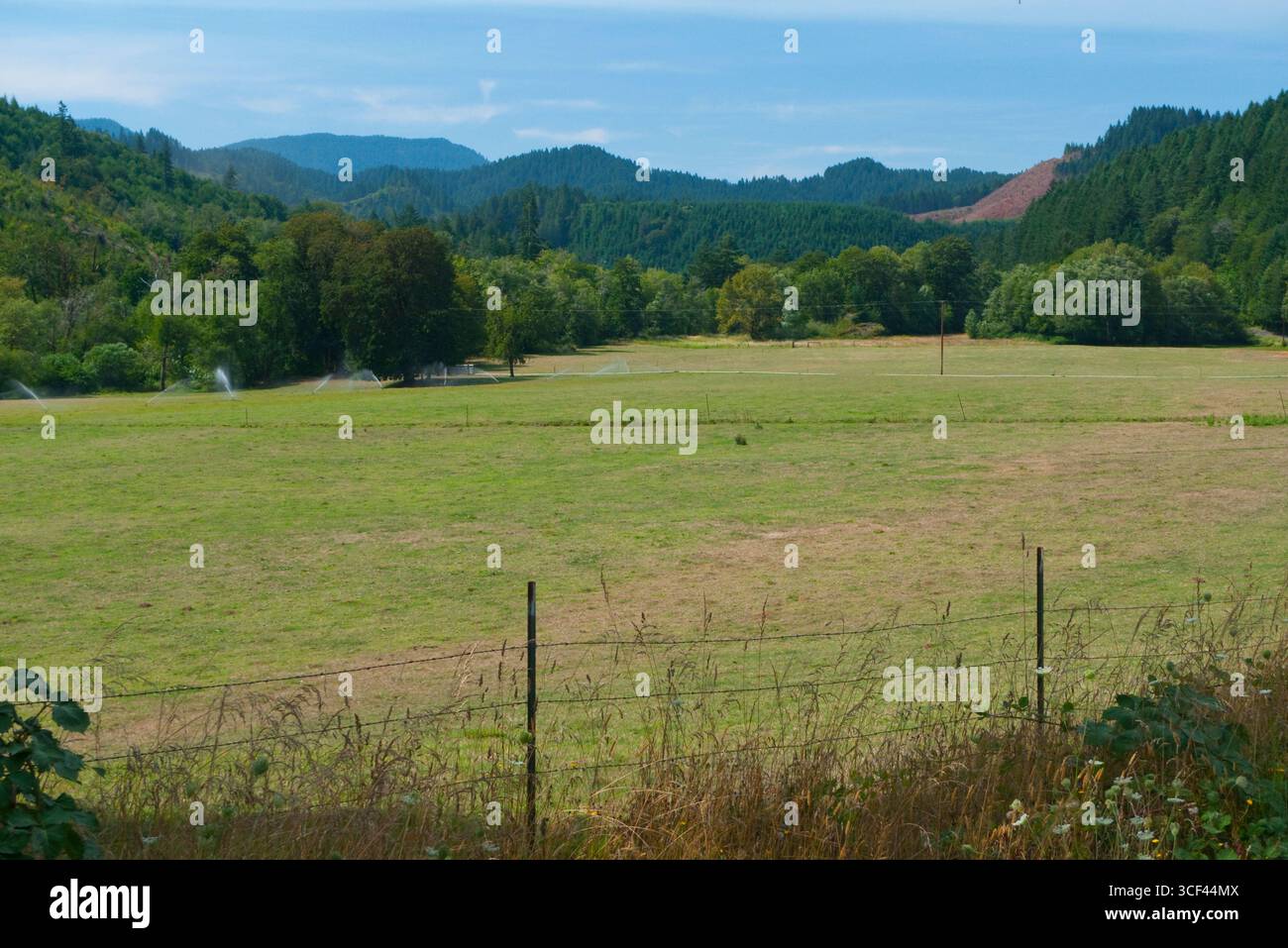 Bewässerten Feldern entlang Landstraße 36, Lane County, Oregon, USA Stockfoto