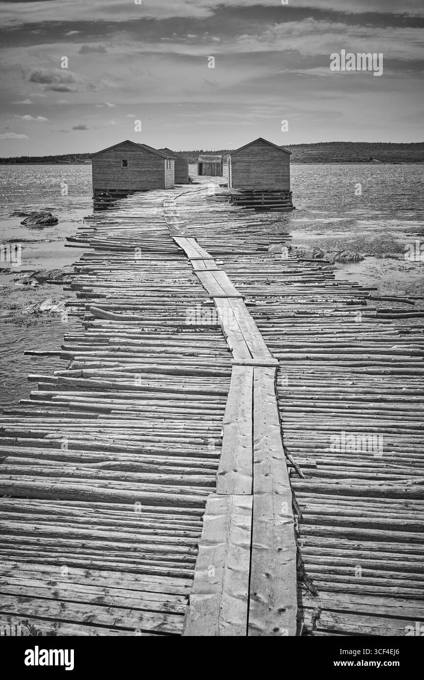 Bootshäuser auf einem alten verwitterten Dock, Raleigh, Neufundland. Stockfoto