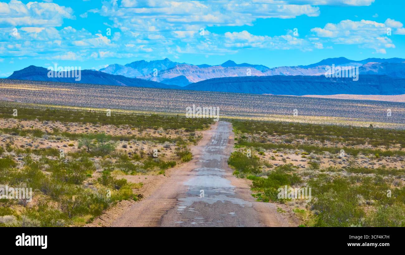 Die Desert Road Führt Zu Den Fernen Bergen Unter Dem Blue Sky Nevada Stockfoto