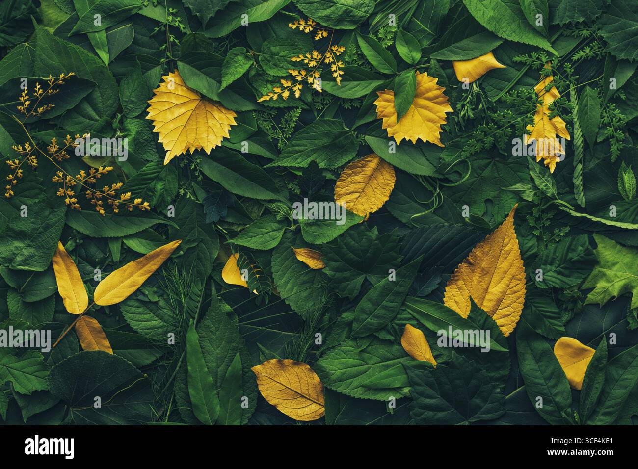Laubhintergrund mit einer Vielzahl von lebendigen Pflanzenblättern, die ein vielfältiges Ökosystem und die Artenvielfalt der Natur mit einzigartigen goldenen Pflanzenblättern zeigen. De Stockfoto