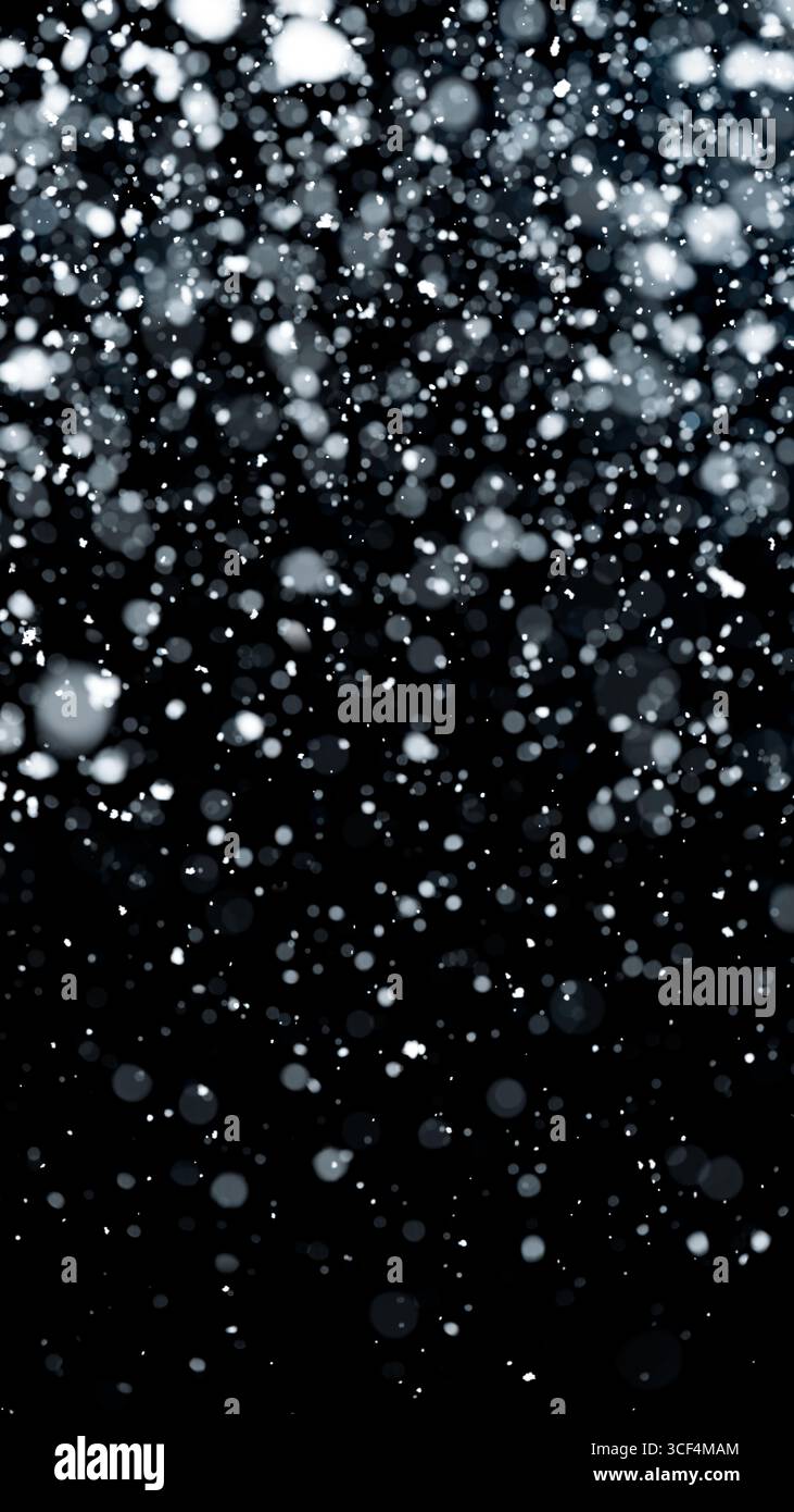 Echter Schneefall auf schwarzem Hintergrund. Abstrakte, schneeweiße Partikel, die für Winterwetter oder kalten Schneefall-Hintergrund fallen. Starker Schneesturm. Stockfoto