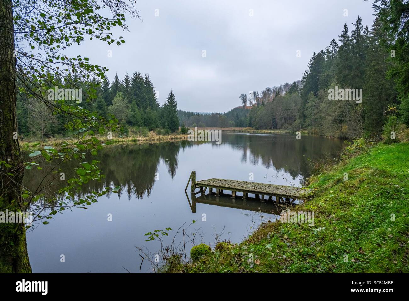 Ein kleiner See (Lindnerweiher) mit einer kleinen Brücke bei Frauenzell im Herbst, Bayern, Deutschland Stockfoto