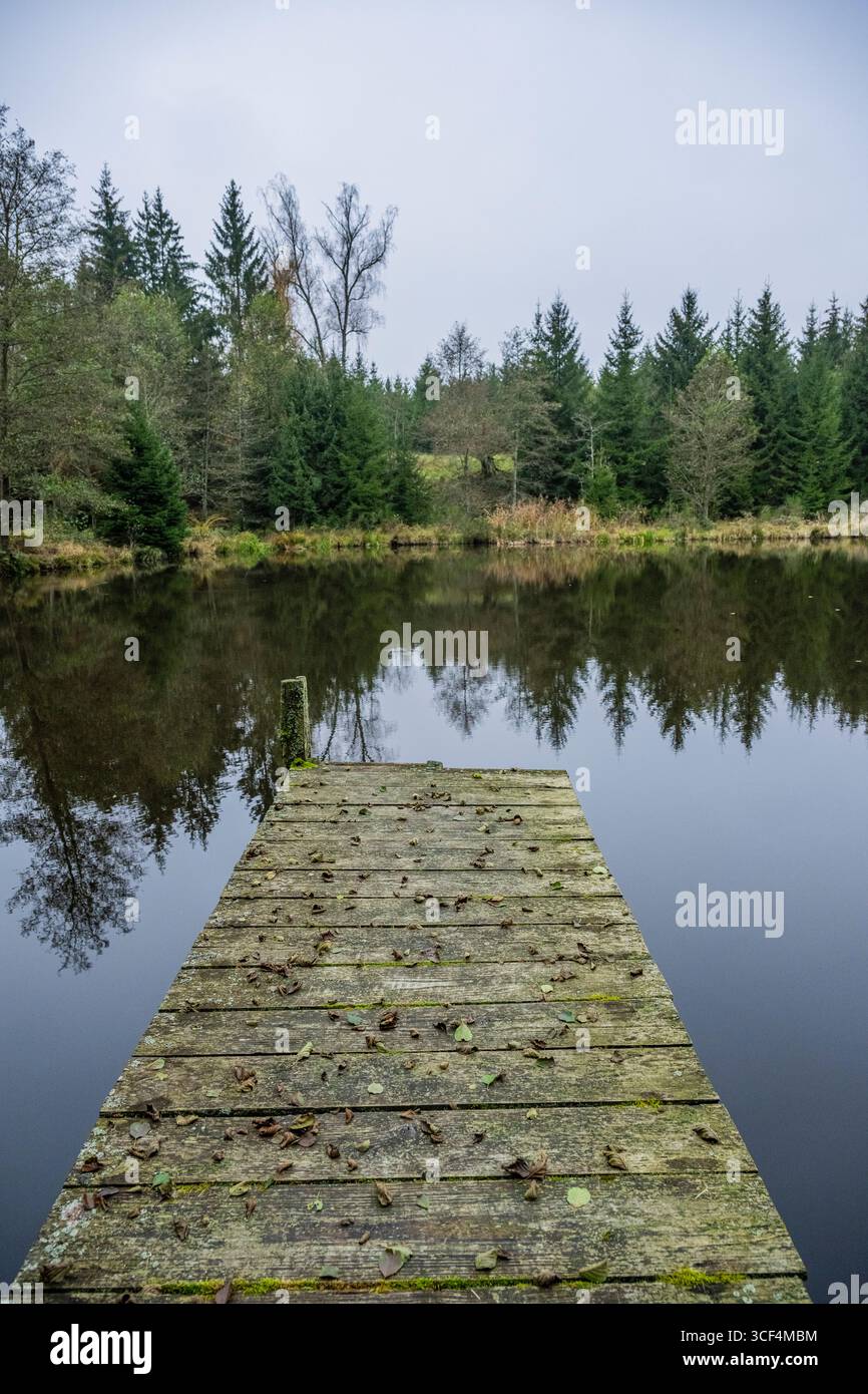 Ein kleiner See (Lindnerweiher) mit einer kleinen Brücke bei Frauenzell im Herbst, Bayern, Deutschland Stockfoto
