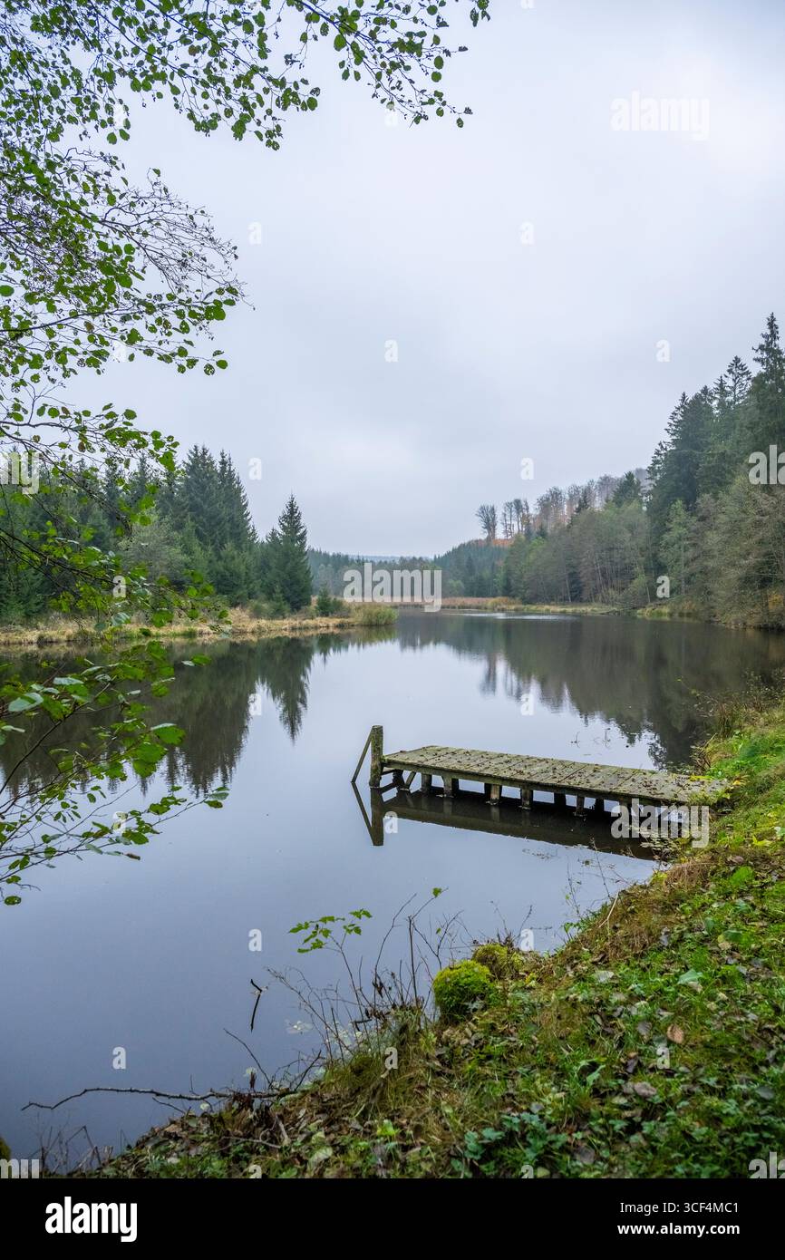 Ein kleiner See (Lindnerweiher) mit einer kleinen Brücke bei Frauenzell im Herbst, Bayern, Deutschland Stockfoto