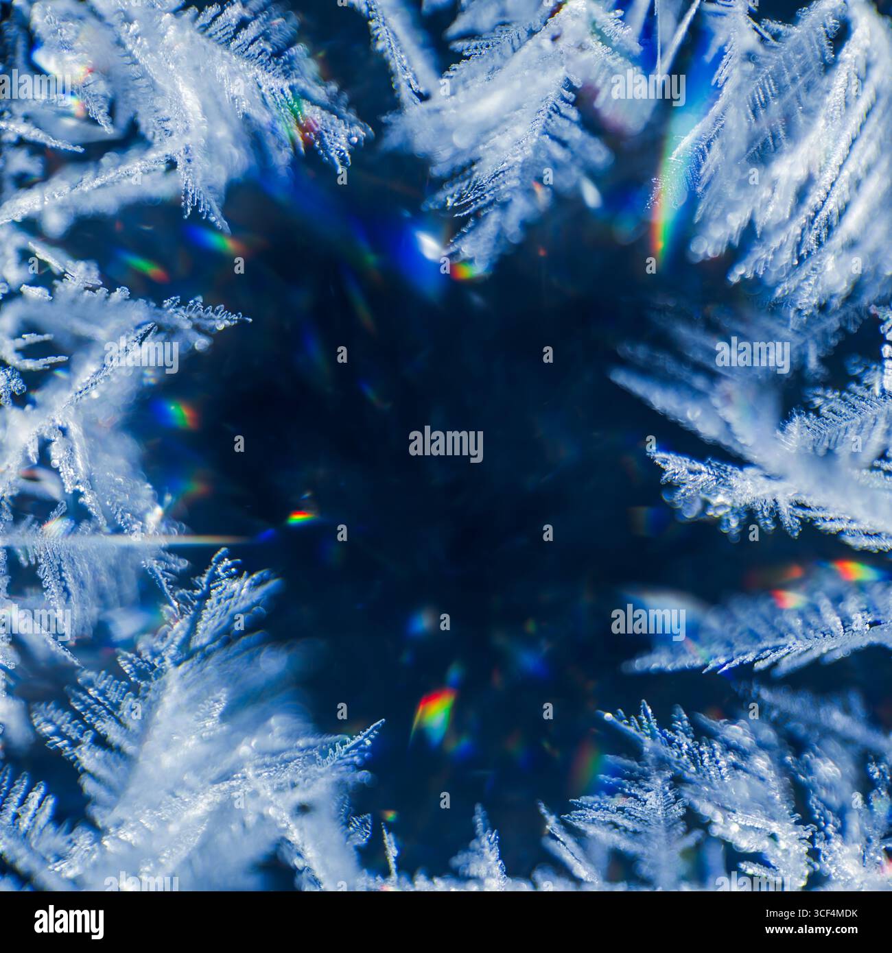 Extremes Makro von zarten Schneeflocken auf blauem Hintergrund. Echte Eiskristalle mit geringem freiheitsgrad. Detaillierte Strukturen der Frostmuster gefrorenen Wassers. Stockfoto