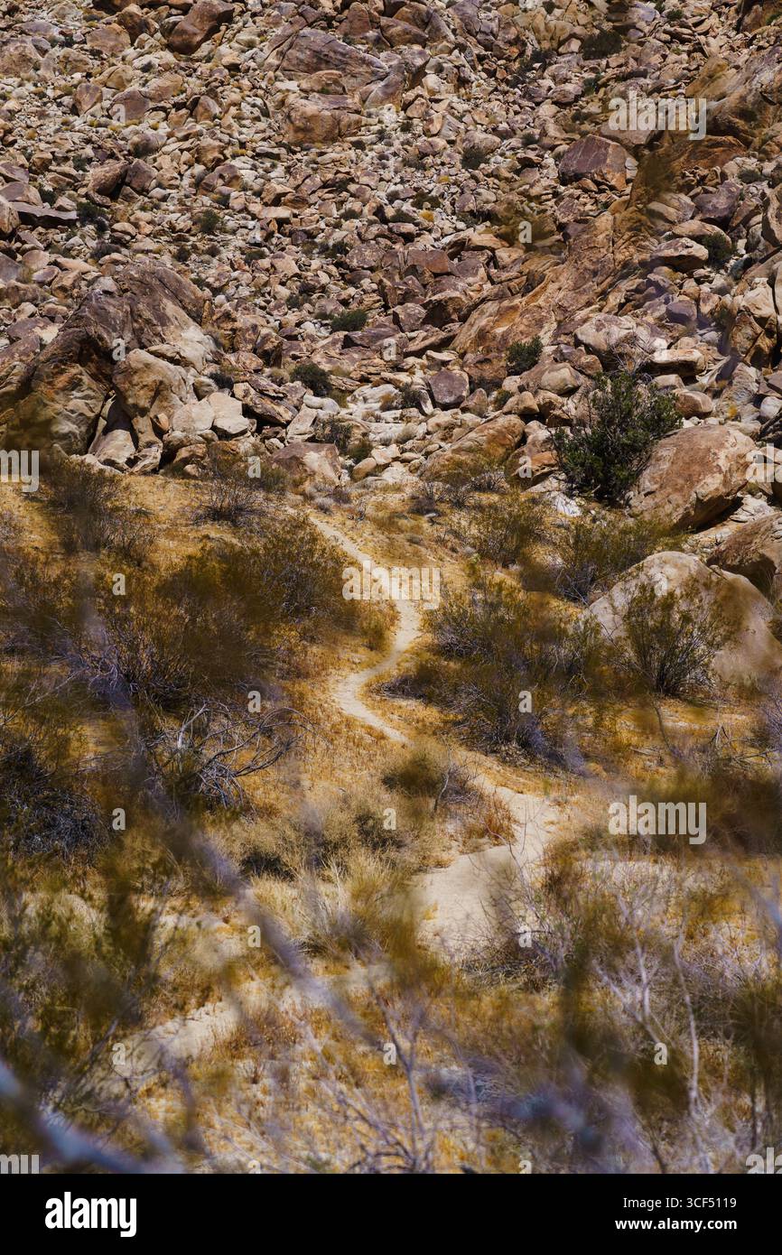 Schotterpfad im Joshua Tree National Park, Kalifornien. Vertikale Aufnahme. Stockfoto