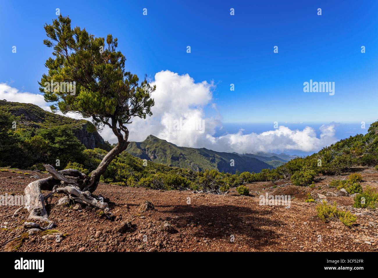 Berglandschaft am Pico Ruivo, dem höchsten Berg Madeiras. Stockfoto