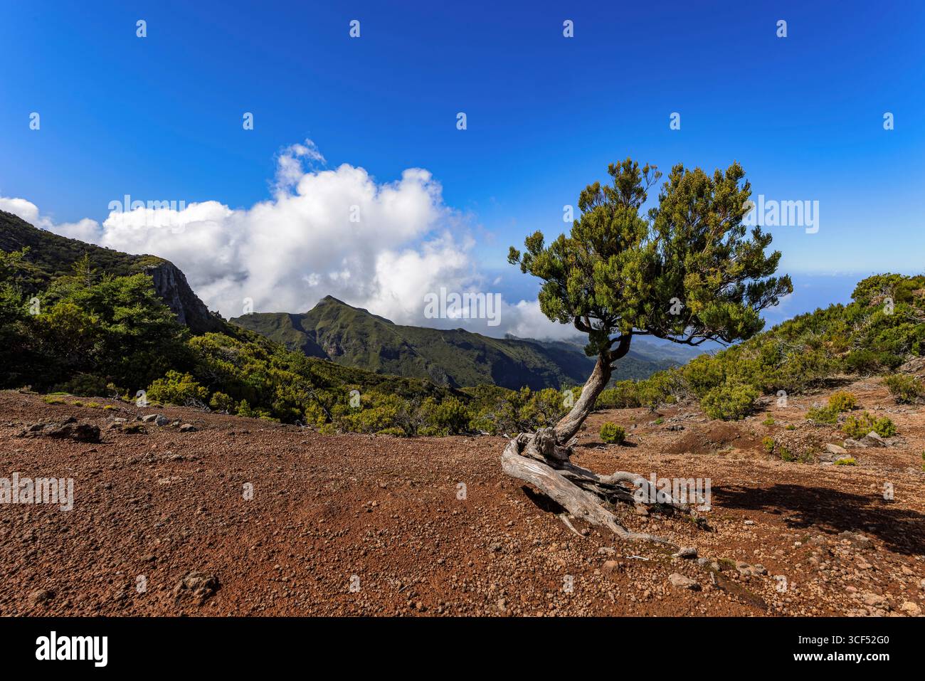 Berglandschaft am Pico Ruivo, dem höchsten Berg Madeiras. Stockfoto