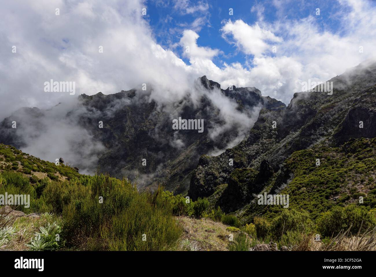 Berglandschaft am Pico Ruivo, dem höchsten Berg Madeiras. Stockfoto