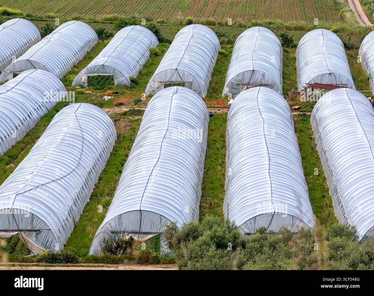 Mehrteilige Tunnelreihen zum Schutz der Kulturen in der fruchtbaren landwirtschaftlichen Region Basilicata (Italien), die optimale Anbaubedingungen gewährleisten und nachhaltige Anbaumethoden fördern Stockfoto