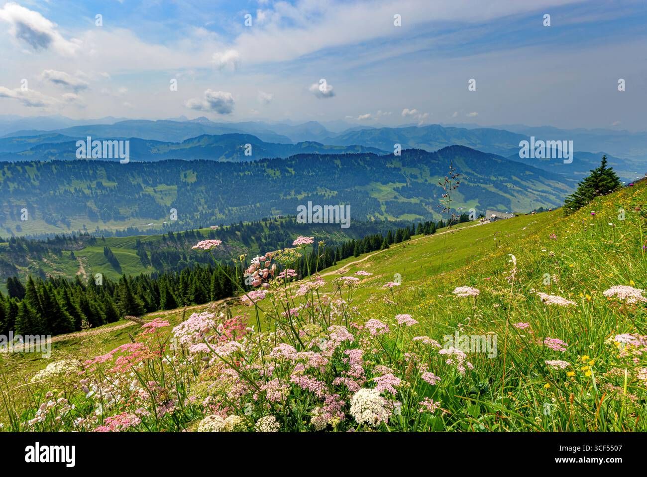 Blick vom Hochgrat bei Oberstaufen im Allgäu, Bayern, Deutschland ...