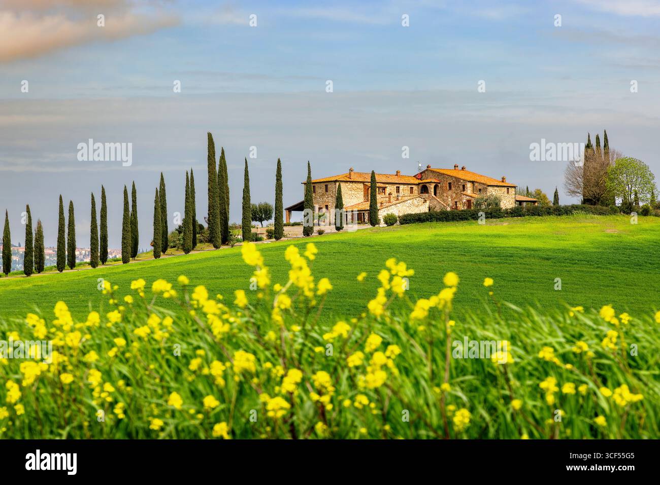 Haus mit Zypressenallee im Frühling im Val d Orcia in der Toskana, Italien. Stockfoto