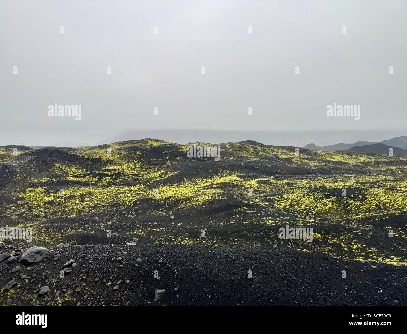 Hellgrünes Moos prägt die vulkanische Landschaft des schwarzen Sandstrandes im Vulkangeopark Katla. Stockfoto